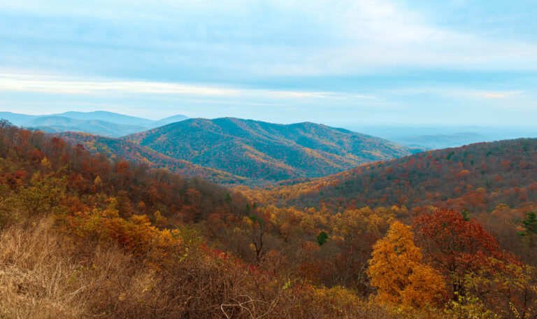 Exploring Virginia’s Scenic Routes: Fall Getaways with Virginia Breeze